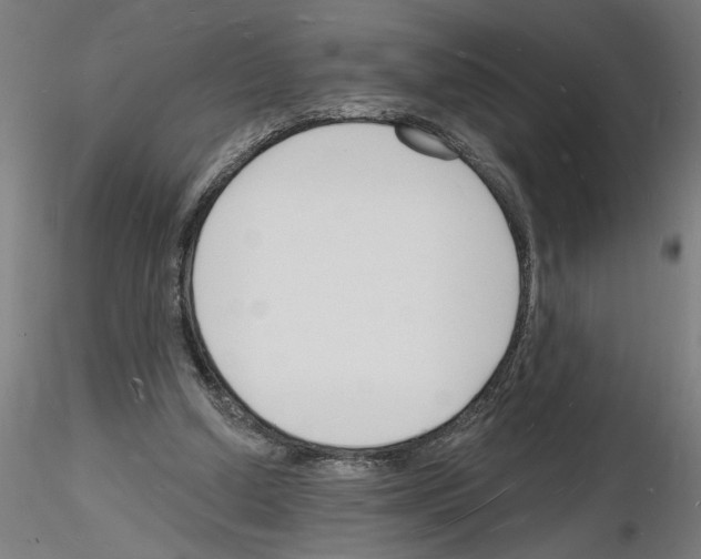 X0000116130250201001041017