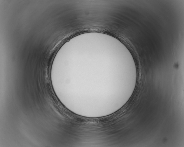 X0000116130251201001041017
