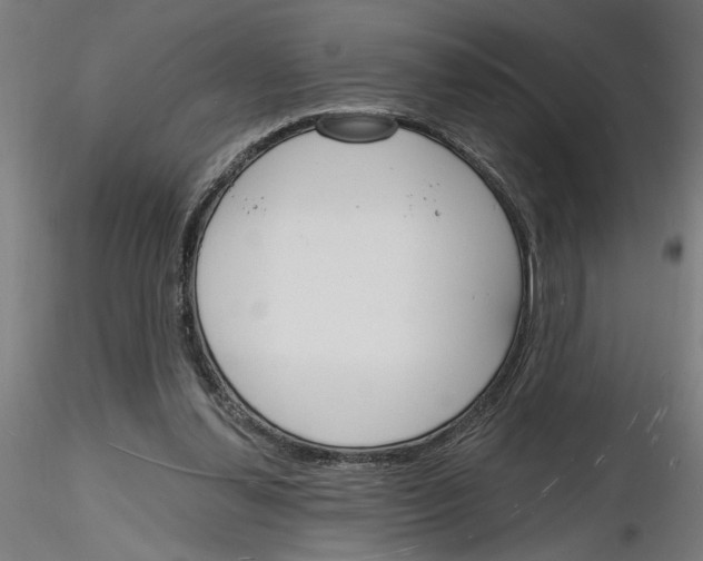 X0000116130252201001041017