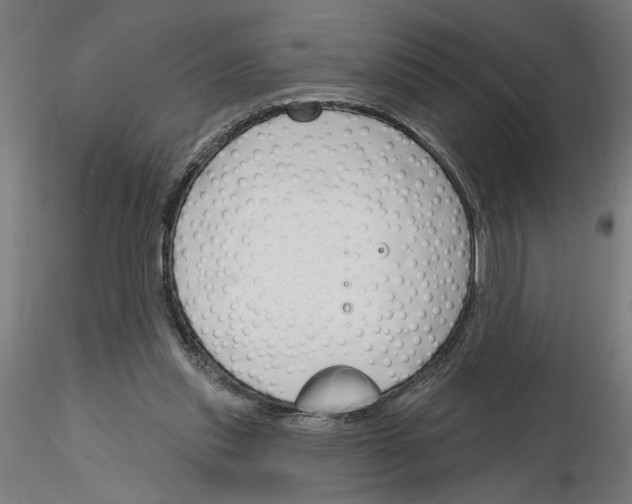 X0000116130253201001041017