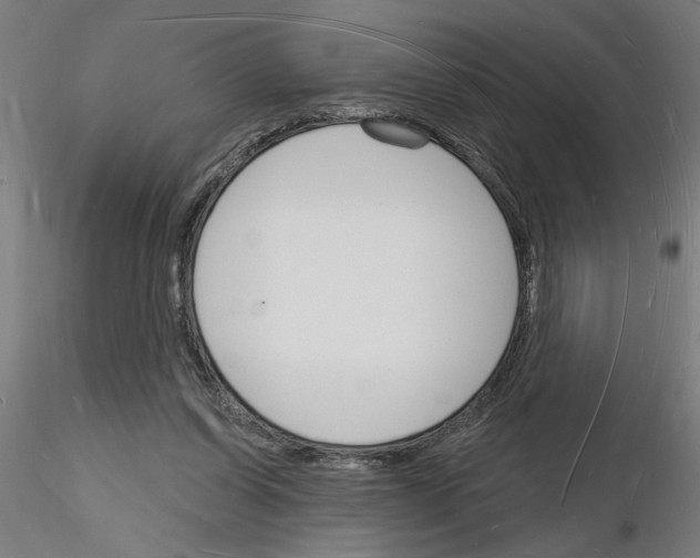 X0000116130254201001041017