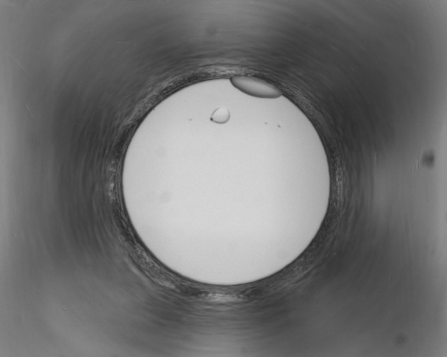 X0000116130255201001041017