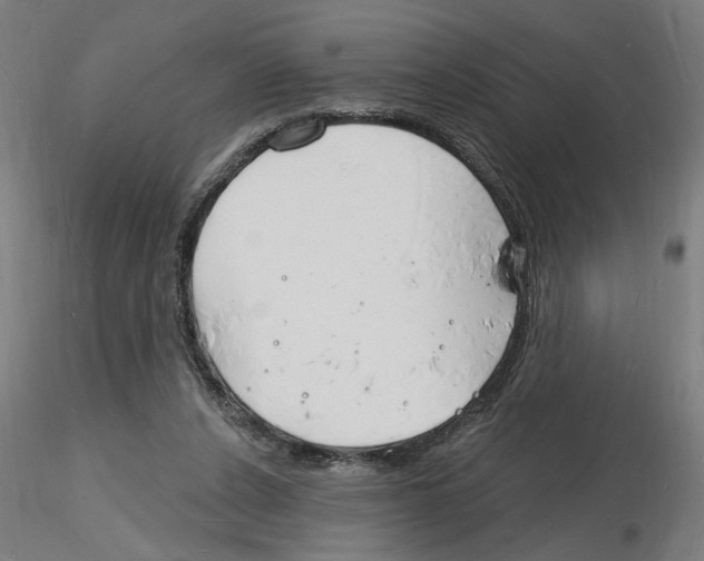 X0000116130256201001041017