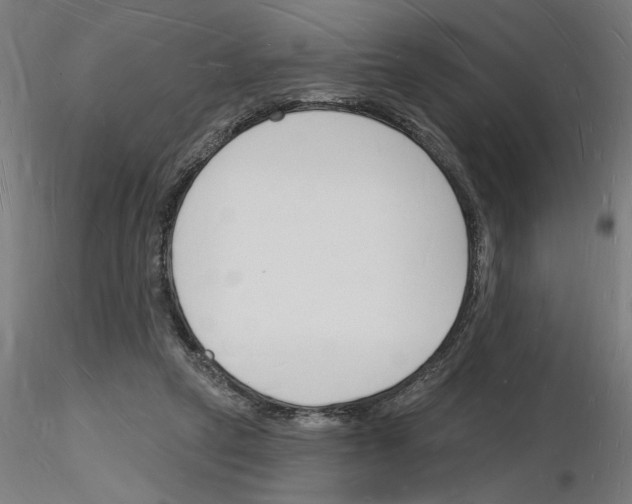 X0000116130257201001041017