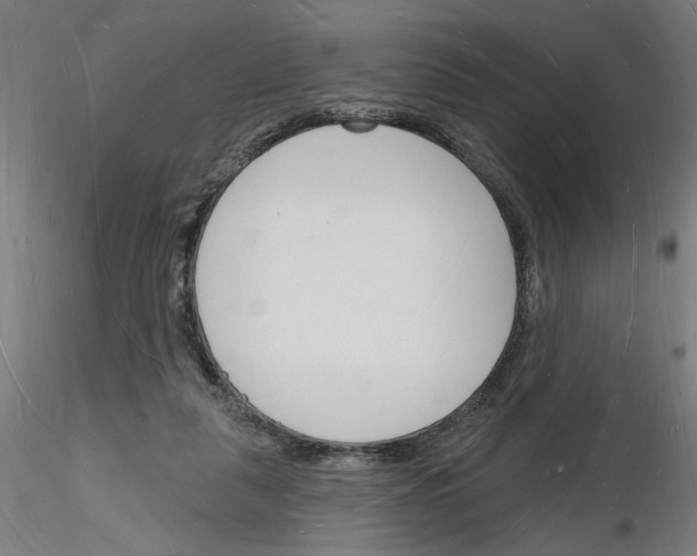 X0000116130259201001041017
