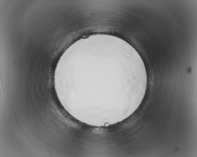 X0000116130261201001041017