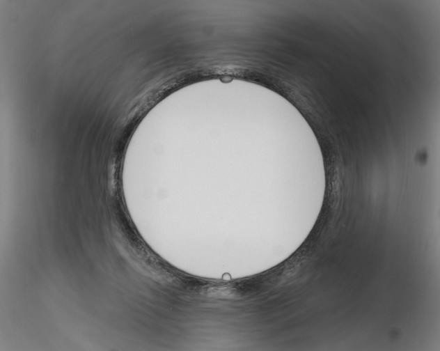 X0000116130262201001041017