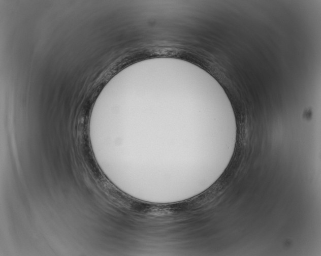 X0000116130263201001041017