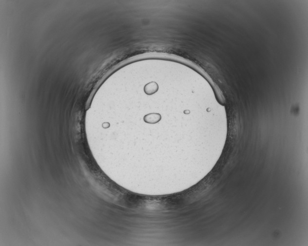 X0000116130264201001041017
