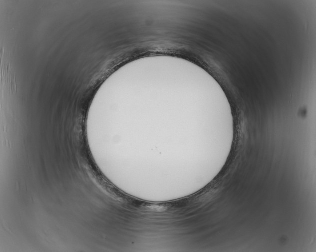 X0000116130265201001041017