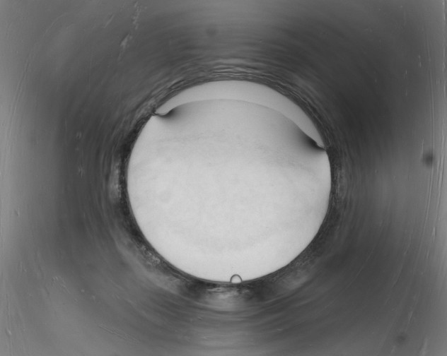 X0000116130267201001041018