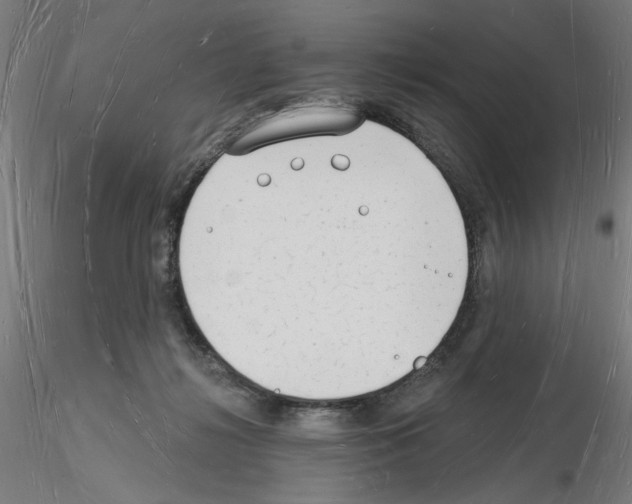 X0000116130268201001041018