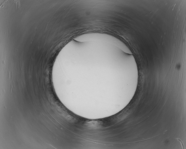 X0000116130269201001041018