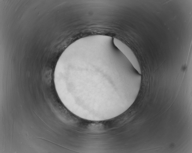 X0000116130271201001041018