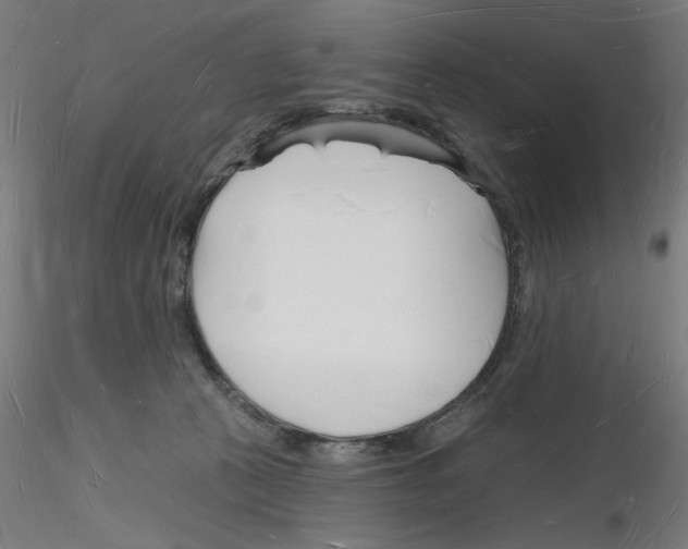X0000116130273201001041018