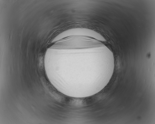 X0000116130276201001041018