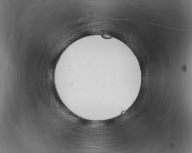 X0000116130278201001041018