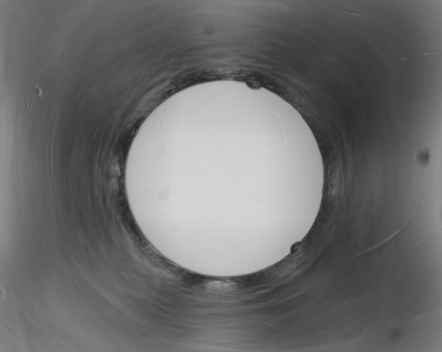 X0000116130279201001041018