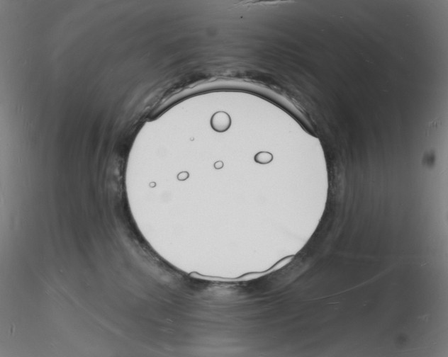 X0000116130280201001041018