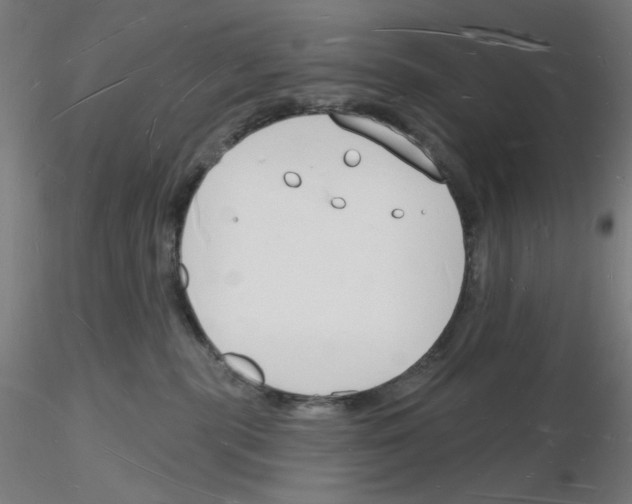 X0000116130283201001041018