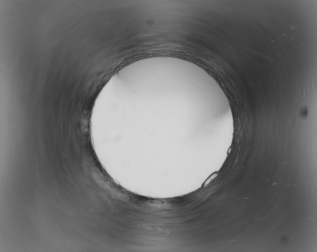 X0000116130284201001041018