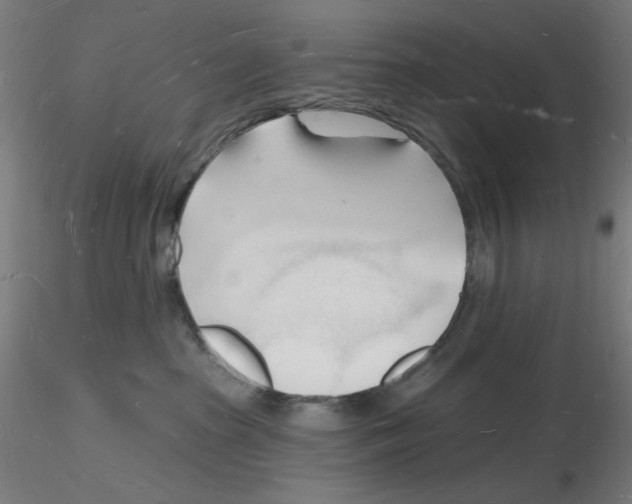 X0000116130285201001041018