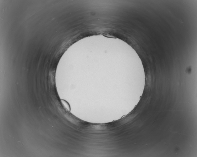 X0000116130286201001041018