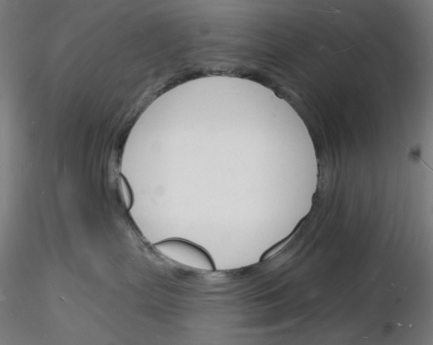 X0000116130287201001041018
