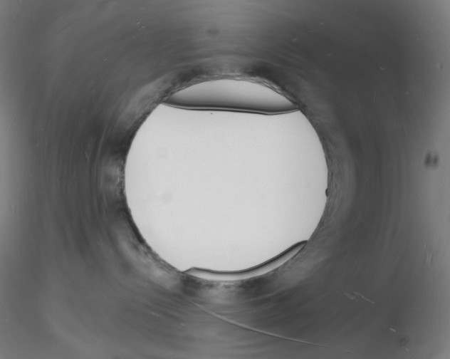 X0000116130288201001041018
