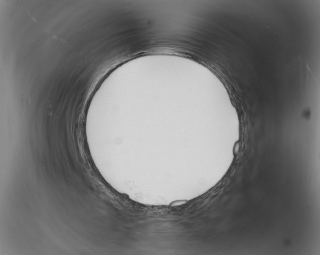 X0000116130289201001041017