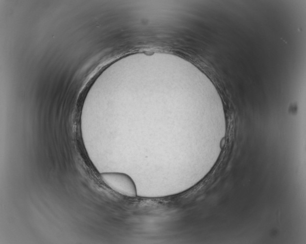X0000116130290201001041017