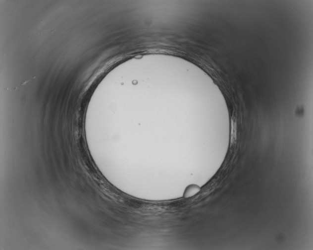 X0000116130291201001041017