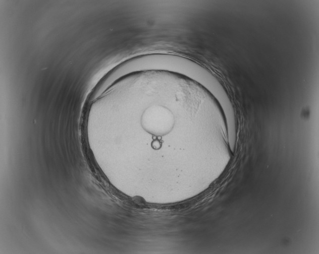 X0000116130292201001041017