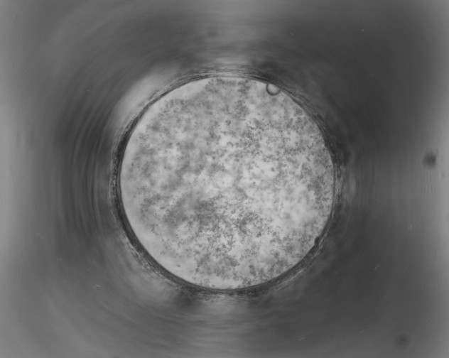 X0000116130293201001041017