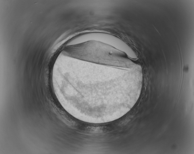 X0000116130295201001041017