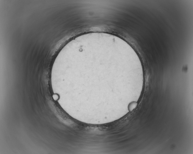X0000116130297201001041017