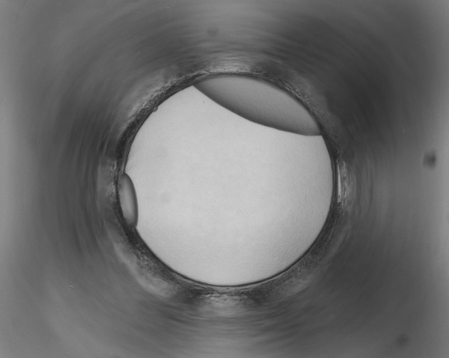 X0000116130300201001041017