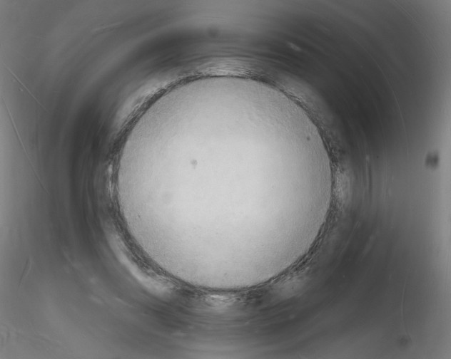 X0000116130302201001041017