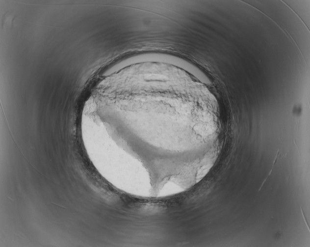 X0000116130303201001041017