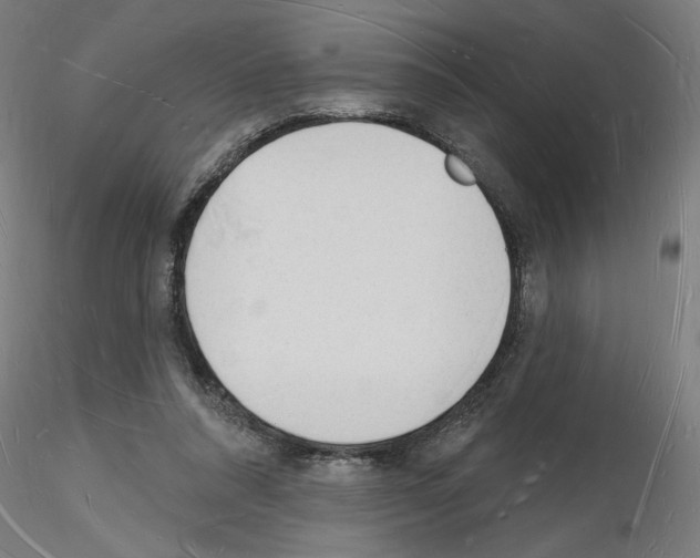 X0000116130304201001041017