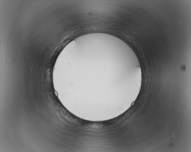 X0000116130308201001041017