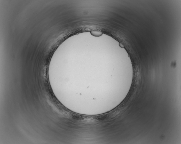 X0000116130310201001041017