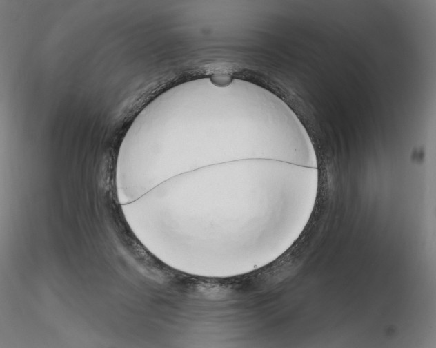 X0000116130311201001041017