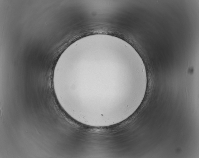 X0000116130313201001041017