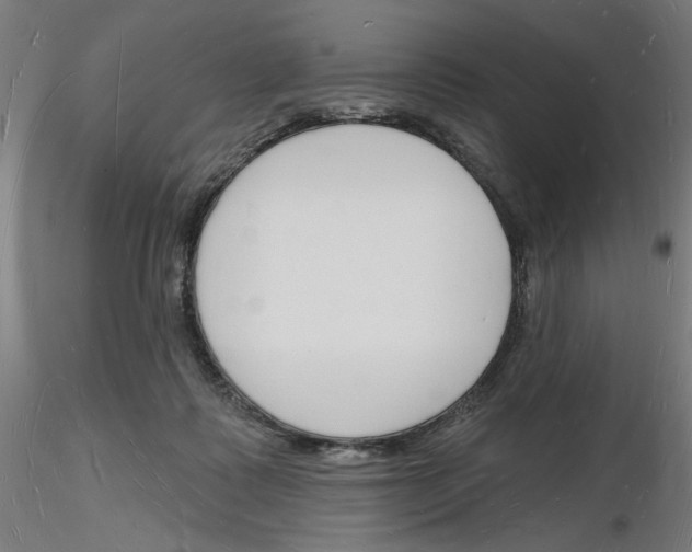 X0000116130315201001041017