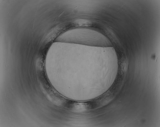 X0000116130316201001041017