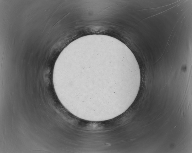 X0000116130319201001041017