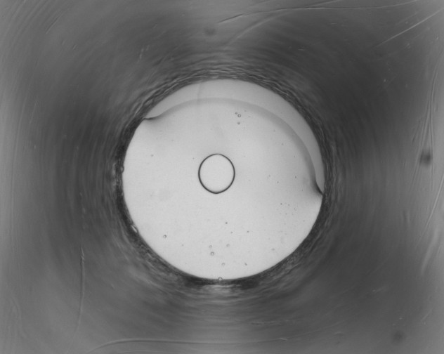 X0000116130320201001041017