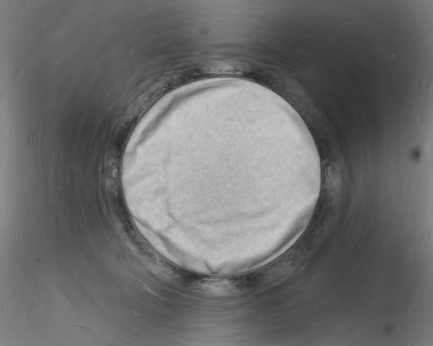 X0000116130322201001041017