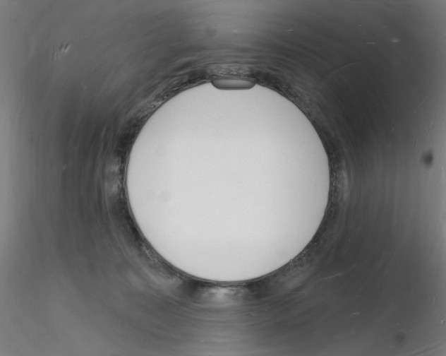 X0000116130323201001041017